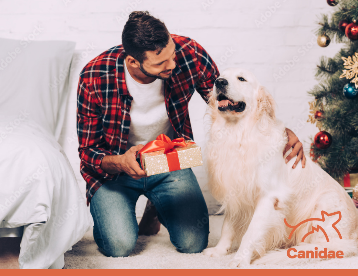 Presents Your Pet Will Love in 2021