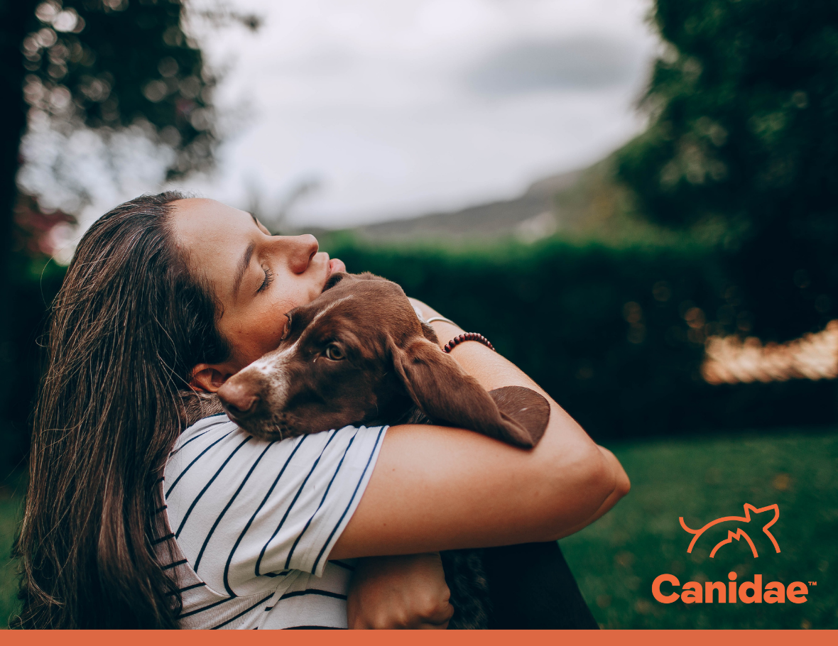 5 Incredible Therapy Dog Stories - Canidae
