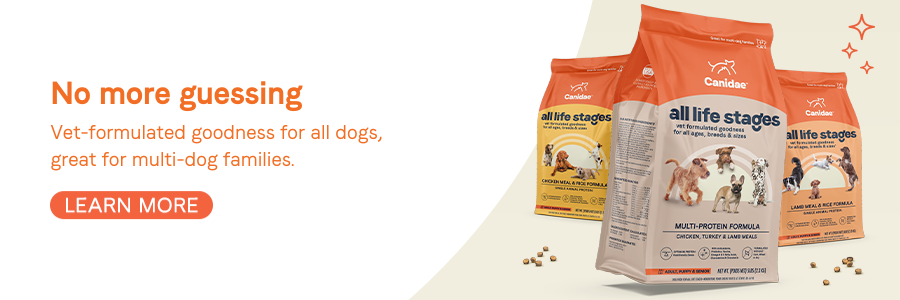 Best all outlet age dog food