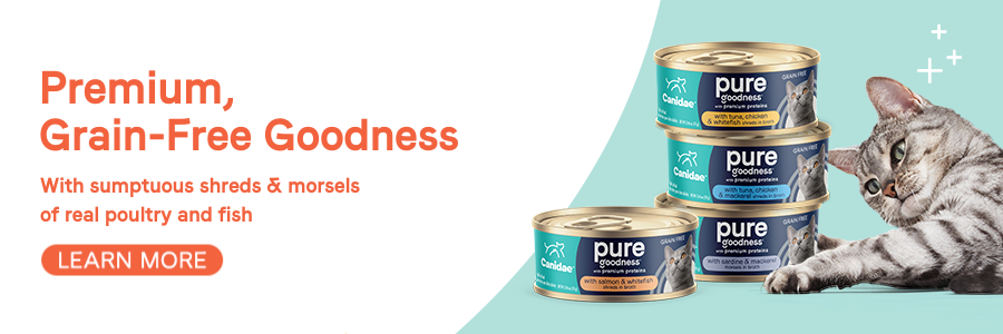 Everything You Need to Know About Grain Free Cat Food Canidae