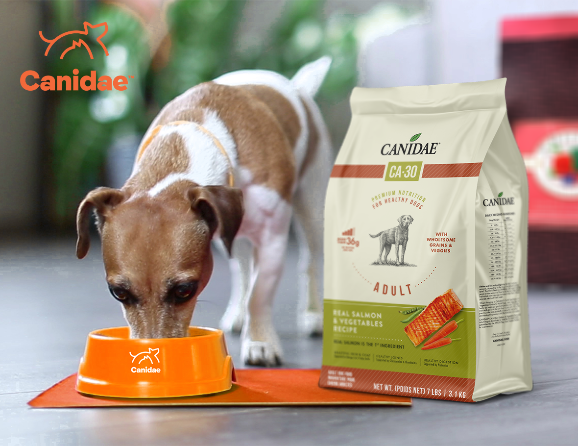 What s the Best Pet Food for My Dog Canidae CA 30 Real Salmon vs